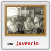 Mi familia