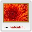 vale